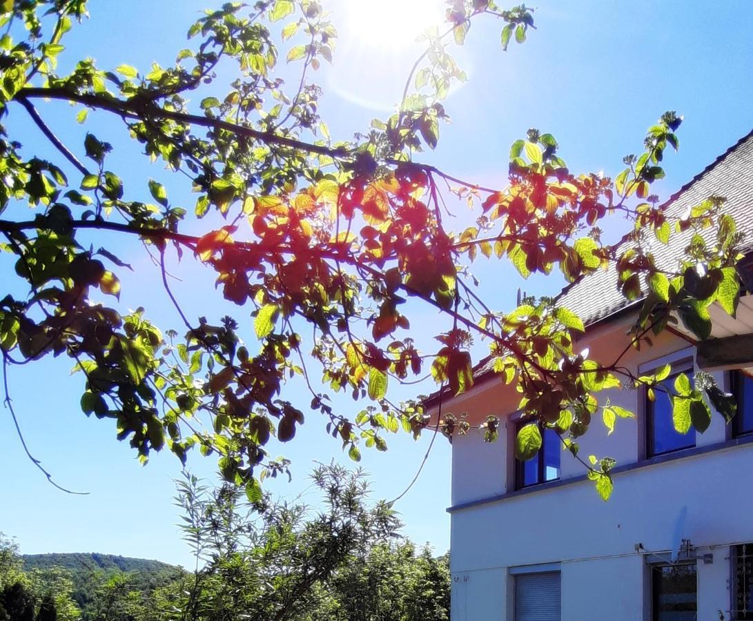 Ferienwohnung Albstadt Panorama Екстериор снимка